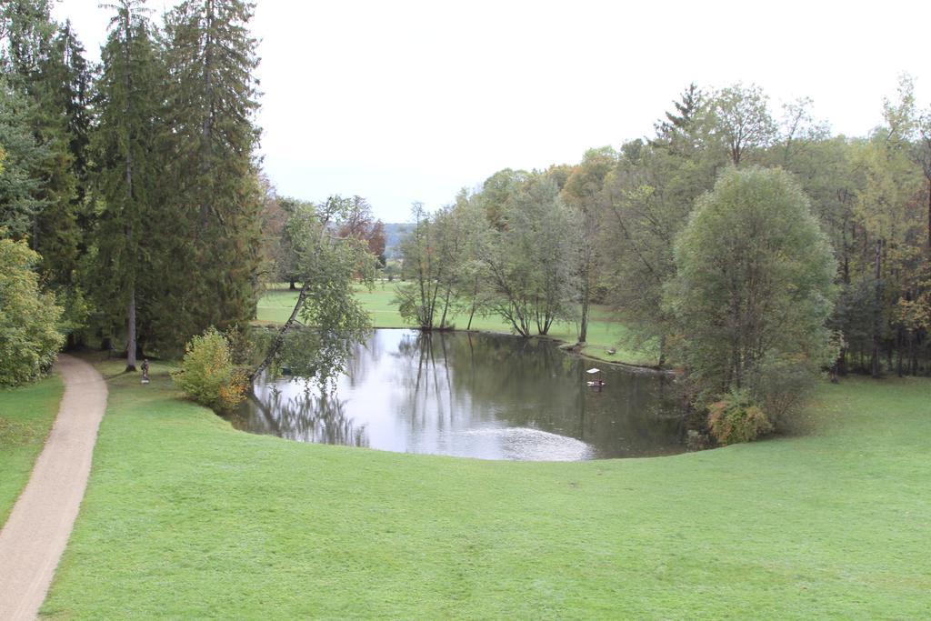 Bed and Breakfast Chateau Du Breuil Gevrolles Номер фото